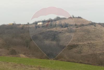 Teren agricol 18.800 mp în Crișeni, lângă Vurpăr - 1