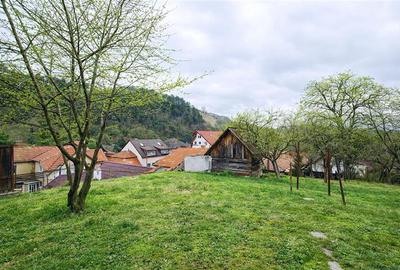 Casa cu 850 mp gradina, Centrul Istoric - Schei, Brasov - 9