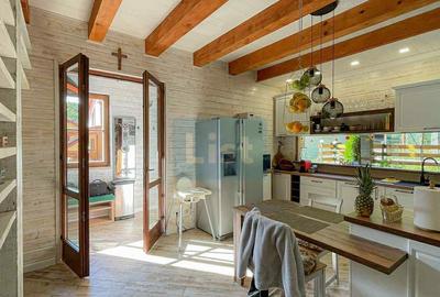Casa de vacanta superba in Crivaia - 6