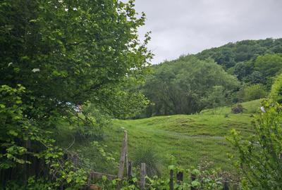 Teren intravilan 3.837 mp Cartier Bocșa Montană, Str. Izvor, Jud. CS - 1