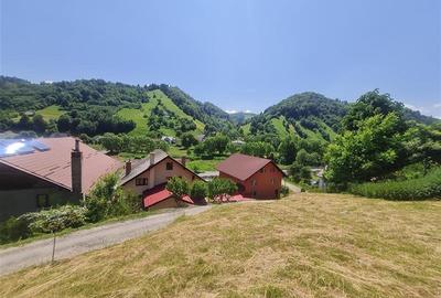 FILM!View superb catre munti,teren pretabil constructie Hotel,4.400 mp, Moieciu - 18