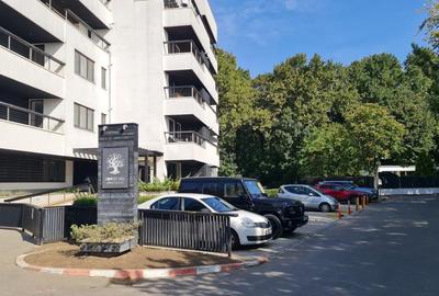 Ocazie! La 10 metri de Padurea Baneasa! Apartament modern, parcare inclusa - 2
