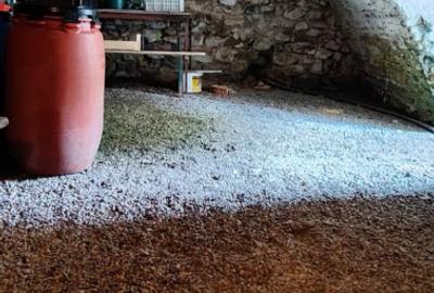 Casa si gospodarie tip sasesc in Bod langa Scoala si Primarie - 14