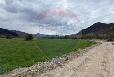 Teren 3,157mp Gura Humorului / Aleea Maftei - 12