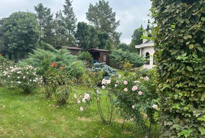 VILA CU IZ PROVENSAL  CU TEREN GENEROS SI PISCINA EXTERIOARA INCALZITA - 52