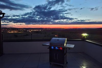 Direct Propietar Penthouse Premium de Închiriat - 1