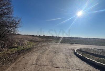 REL4000892 Corbeana - Ostratu 15200 mp langa padure - 2