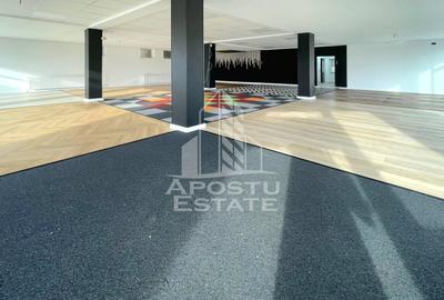 Spatiu Comercia/ Showroom 200mp util+curte720mp/GRADISTE - 1
