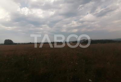 Teren de vanzare de 9.000 mp la sosea zona Industriala Vest - 2
