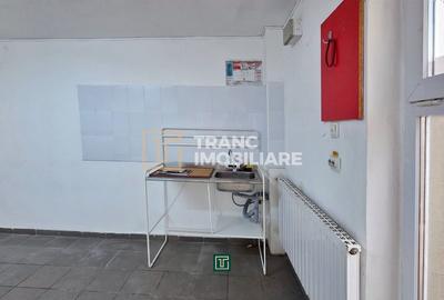 Spațiu comercial în Calea Lipovei – Zonă excelentă, aproape de Iulius Town - 4