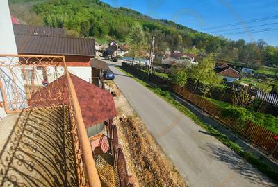 Casa + teren 3233 mp Darmanești Arges - 17