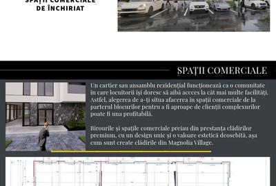 INCHIRIERE SPATII COMERCIALE - 3