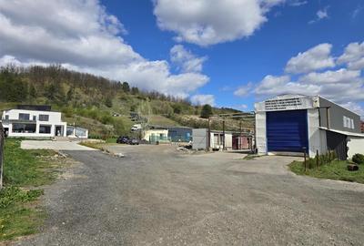 PROPRIETATE MULTIFUNCTIONALA | TEREN 3788 MP | SPALATORIE CAMIOANE + CASA |  DN1 - 1