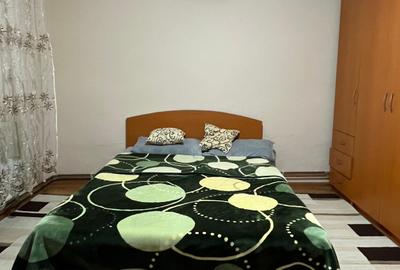 Casă 5 camere, 7700 mp teren ,Comuna Ineu. - 18