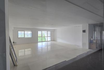 Spatiu comercial de inchiriat Podul Constanta - Chitila - Bucurestii Noi - 20