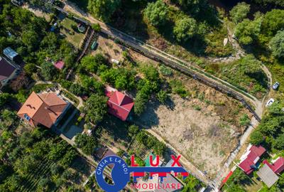 ID 7563 Teren Sat MINERI cu DESCHIDERE la LACUL CASLA - 8