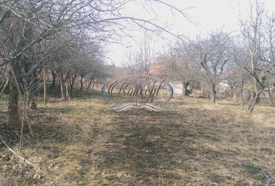 Teren Construcții intravilan de 1292 mp, în Gheorghieni