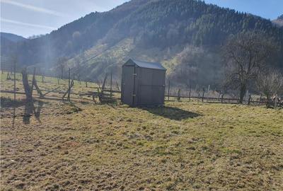 Vindem urgent 1035mp teren intravilan in Rau Sadului ,  SIBIU - 16