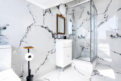 VAND Pensiune 25 camere Grigorescu, Pret si randament EXCEPTIONAL - 5