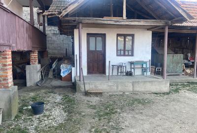 Proprietate rară – 2 case + livadă, vie și teren generos, la 20 km de Târgu Jiu - 5