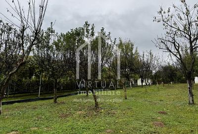 Teren intravila, 1079mp, destinatie casa de vacanta, Rasinari - 3