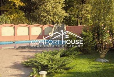 VILA D+P+E+M, 12 camere, piscina , padure, IANCU NICOLAE - 26