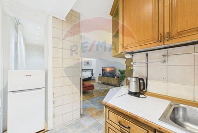 Apartament cu 2 camere de vanzare in zona Calea Victoriei - 15