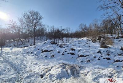 Teren intravilan de vanzare in Salistea - 1