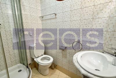 INCHIRIERE VILA INDIVIDUALA + CURTE | 286 MP | ZONA FLOREASCA - 21