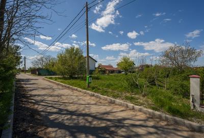 SNAGOV - CIOFLICENI TEREN CONSTRUCTII 830 MP, LOT DE COLȚ! - 4