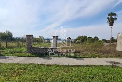 Teren la Dunare 2400Mp cu utilitati - 4