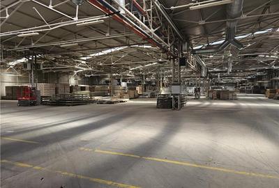 Spatiu Industrial - 5000 mp - Productie - Depozitare - 21