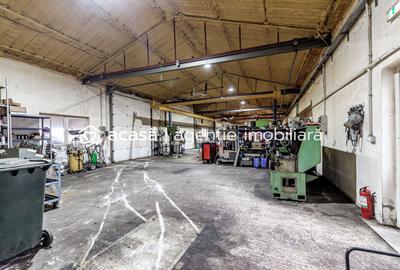 Hale depozitare/producție 2.000 mp si 10.000 mp teren în Pecica - 15