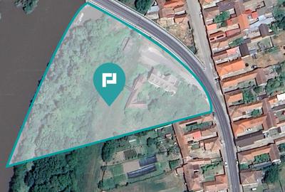 Pensiune în Geoagiu-Băi pe malul râului Mureș - 19