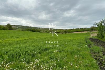 Teren extravilan, 2165 mp, priveliste, zona Dealul Fanatelor! - 1