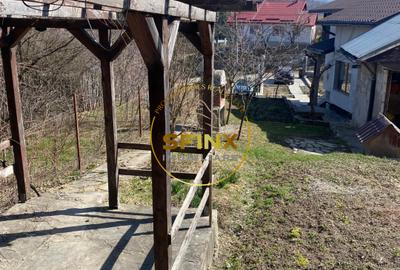 CASA DE VACANTA DE VANZARE-SLANIC PRAHOVA - 14