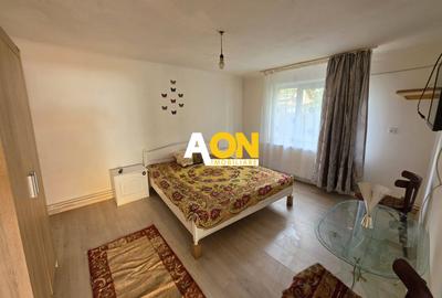 Casa cu 2 camere, 300 mp teren, pretabila pt. muncitori, Cetate - 4