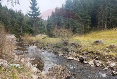 Arieșeni–Strada Fața Cristesei -Teren 4.331 mp cu Peisaj de Poveste - 16