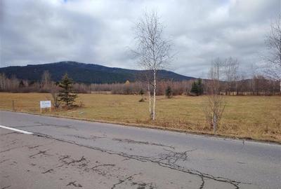 Teren extravilan in Borzont, langa DN13B - 1