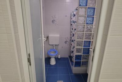 Casă individuală 4 camere - curte 447 mp – Rahova – 0% comision - 9