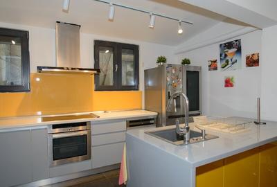 2 Camere / Alba Iulia / Unirii / New City Residence  (terasa spatioasa cu grill) - 10