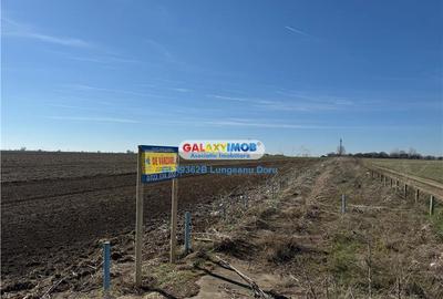 Teren intravilan 47.400 mp, Vama Veche, 200 m de Marea Neagra - 12