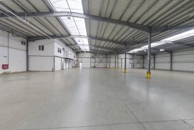 Hală industrială de închiriat în Arad 1799 mp - 1
