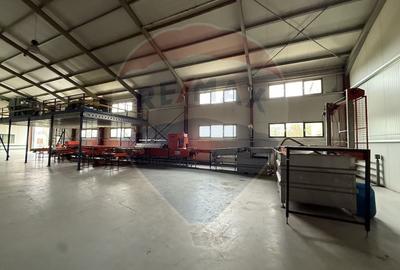 Ferma agro-industrială – 43 ha Adunații Copaceni - 4