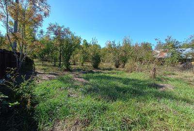 Renovata complet  2024 - 2500mp teren - 14