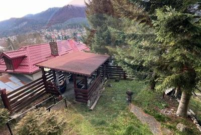 Casă cu poveste în Zamora, Bușteni - 3