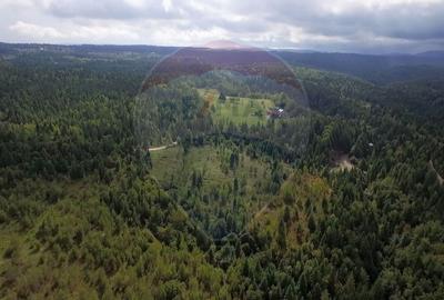 Teren extravilan parcelabil Călățele Pădure, zona Dealu Negru - 11