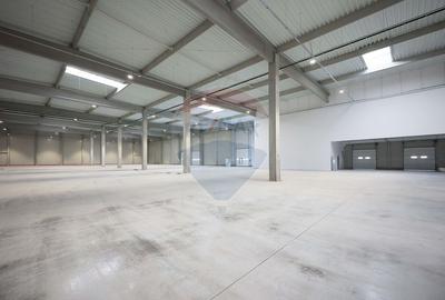 Hală de vânzare, Sc 7014mp, Zona Biharia - 16