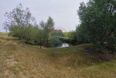 Teren parțial intravilan-300000mp Stroiești-Trei Movile, Suceava - 26