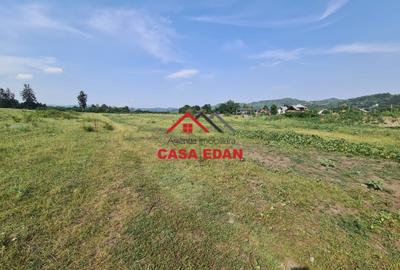 Teren intravilan in Campina, 7500mp--35e - 9